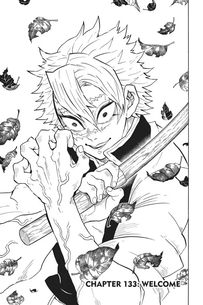 Demon Slayer Chapter 133 image 01_optimized